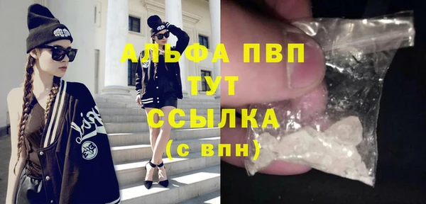 сатива Баксан