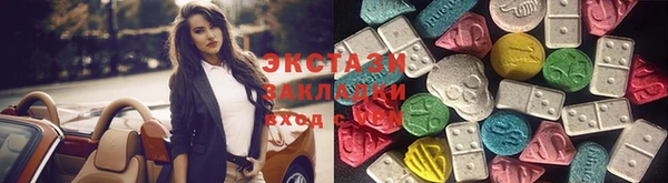 молекула духа Богданович