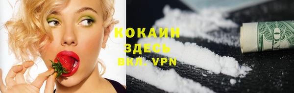 сатива Баксан
