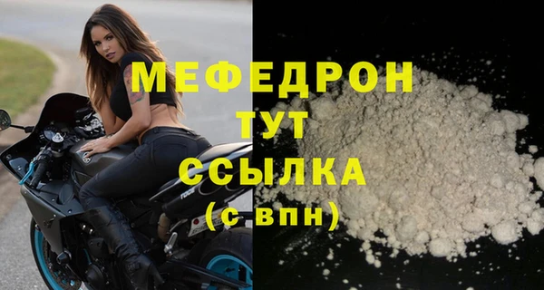 молекула духа Богданович