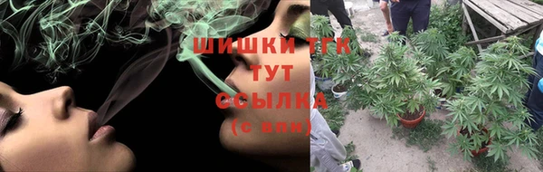 сатива Баксан