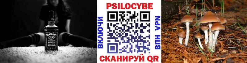 Галлюциногенные грибы Psilocybe Магас
